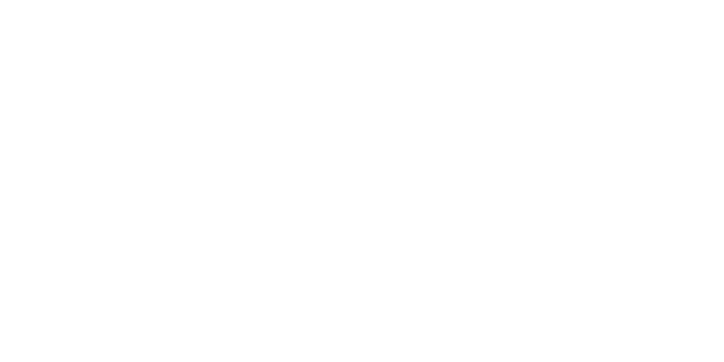 Stiftung für junge Impulse, Logo