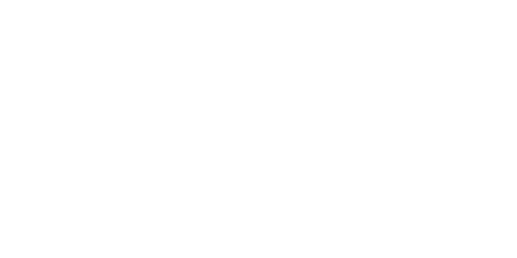 Stiftung für junge Impulse, Impulse Award
