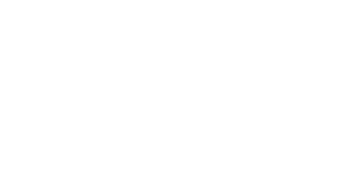 Stiftung für junge Impulse, Impulse Award